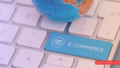 e-ticaret-seo-ipuclari