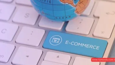 e-ticaret-seo-ipuclari
